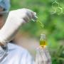 Lista de Doenças Tratadas com Canabidiol: Aplicações, Pesquisas e Regulamentação