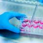 A Importância da Cultura de Testes na Indústria Farmacêutica